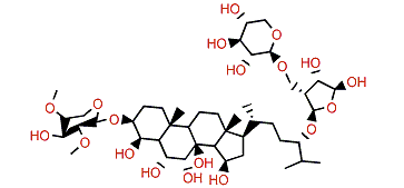 Kurilensoside B